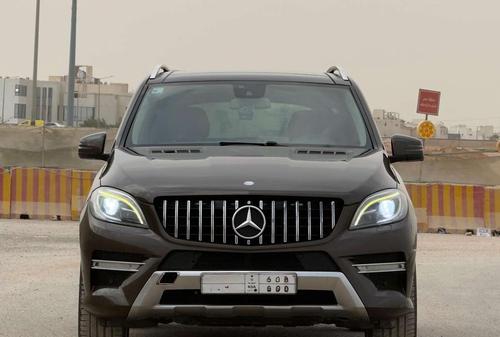 Mercedes Other 2013