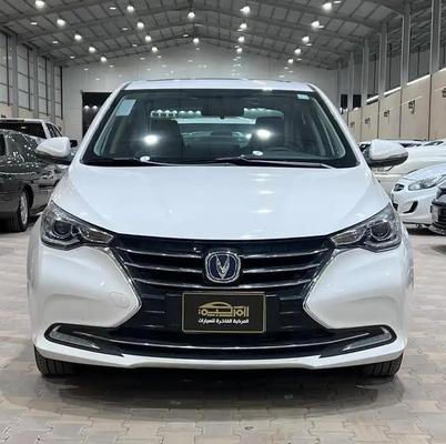 شانجان ألسفن 2025