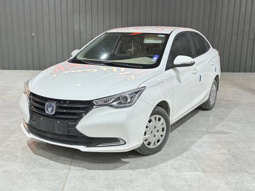 Changan Other 2024