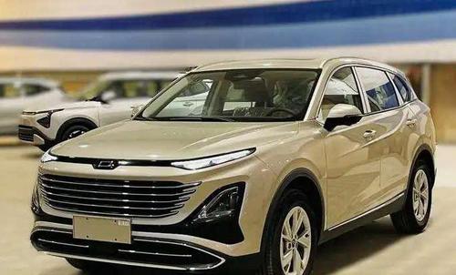 فاو أخرى 2026