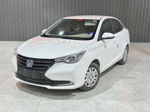 Changan Other 2024