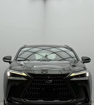 Lexus NX 2022