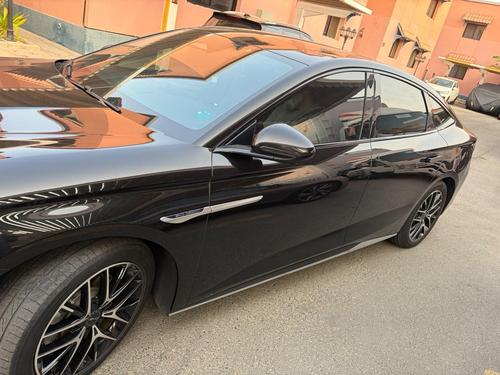Byd Other 2025