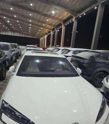 Byd Other 2026