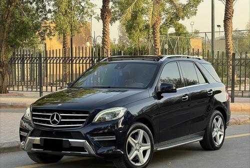 Mercedes Other 2014